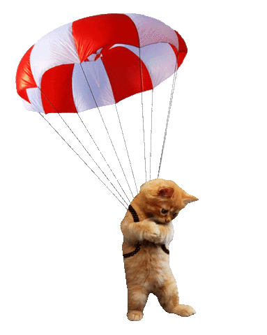 Fallschirm Katze GIF